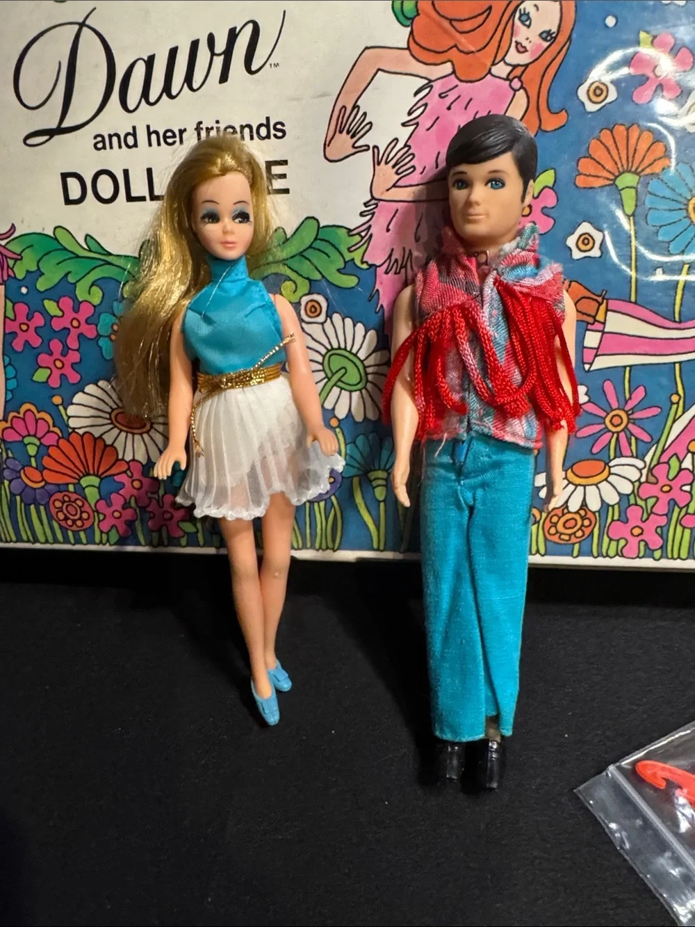 Dawn and Her Friends Doll Case w/Dawn & Gary - Picture 2 of 16